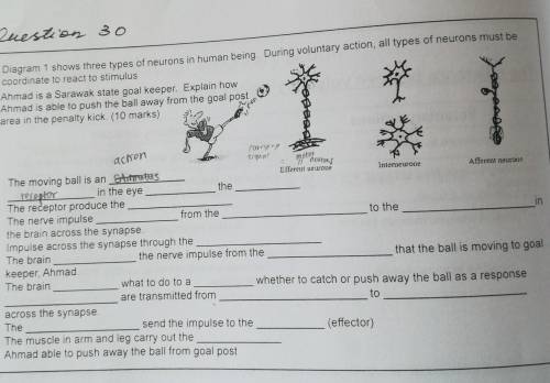 Can someone please help me regarding this question.*ignore the answer thank you*​