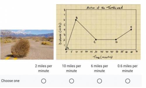Determine the tumbleweed’s average speed while traveling from the starting line to point B. Divide
