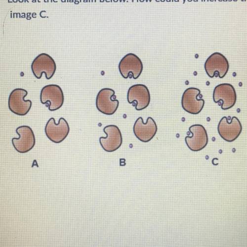 Look at the diagram below. How could you increase the rate of the reaction shown in

image C.
A. a