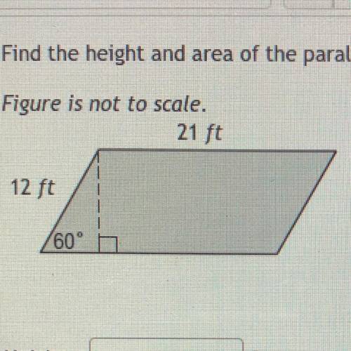Find the height and the area of the parallelogram