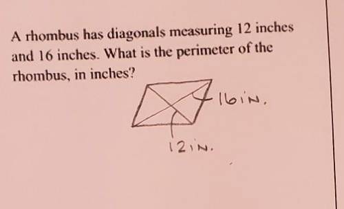 A rhombus has diagonals measuring 12 inches and 16 inches. What is the perimeter of the rhombus, in