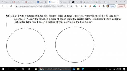 IM BEGGING PLEASE If a cell with a diploid number of 6 chromosomes undergoes meiosis, what wil