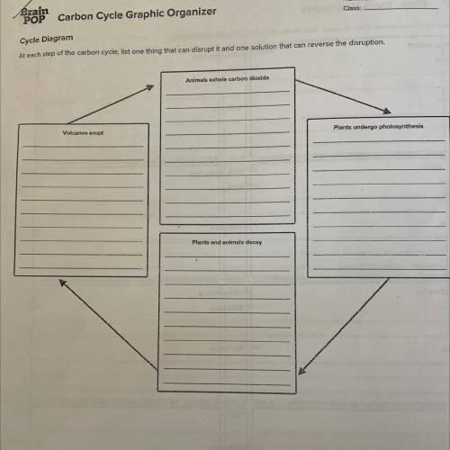 3/12/2-21

Date
Name:
POP Carbon Cycle Graphic Organizer
Class:
Cycle Diagram
At each step of the