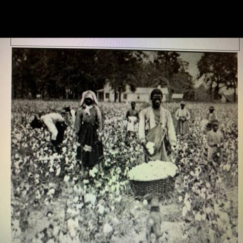 This is an image of sharecropping in Georgia in 1898 on a plantation, how does this

appear to dif