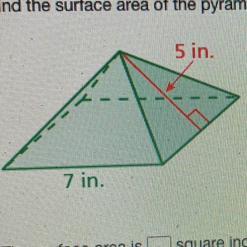 Find the surface area of the pyramid. The side lengths of the base are equal.

5 in.
7 in.
The sur