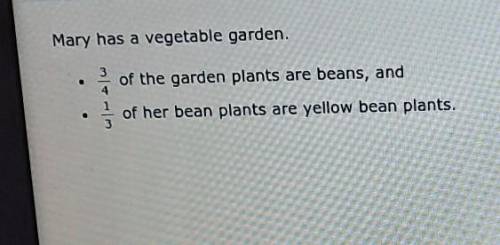 What fraction of the whole garden is yellow bean plants? ​