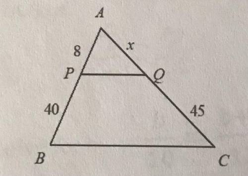 23. What is the value of x?