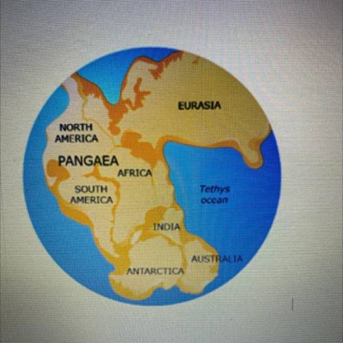 Study the image.

The image shows how scientists think the continents were joined long ago.
Scient