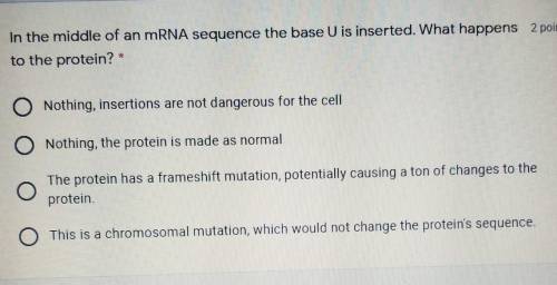 In the middle of an mRNA sequence the base U is inserted. What happens 2 to the protein? *​