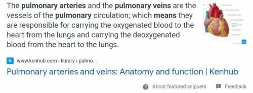 What is pulmonary artery and vein?​