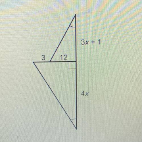 The two triangles are similar, 
what is the value of x?