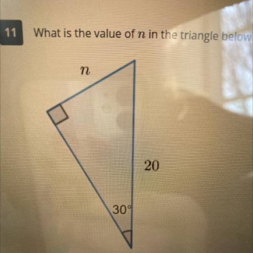What is the value of n