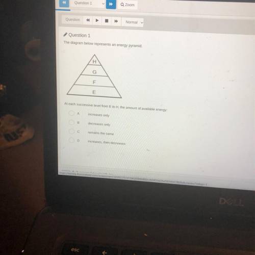 Eagram de ensan energy Pyramid

H
G
F
E
suverom the amount of available energy
3
c
mams the same