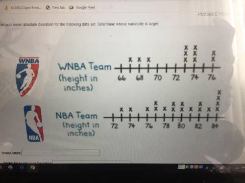 HELP ME PLEASE NOBODY IS ACTUALLY HELPING THIS OS SO HARD AND IM STUCK 7TH GRADE MATH

WNBA Mean:_