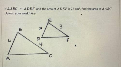 CAN SOMEONE PLEASE HELP ME WITH THIS QUESTION AND PLEASE SHOW WORK