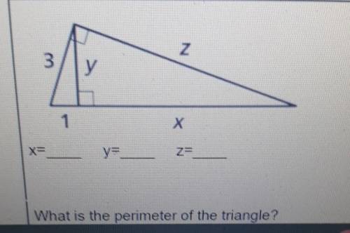 What is the perimeter of this triangle​