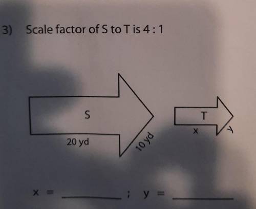 What is x and y? help fast​