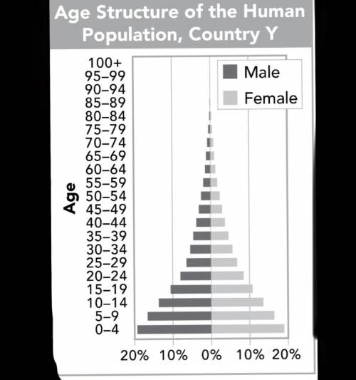 A scientist constructs a graph to show the age structure of the human population of Country Y. The