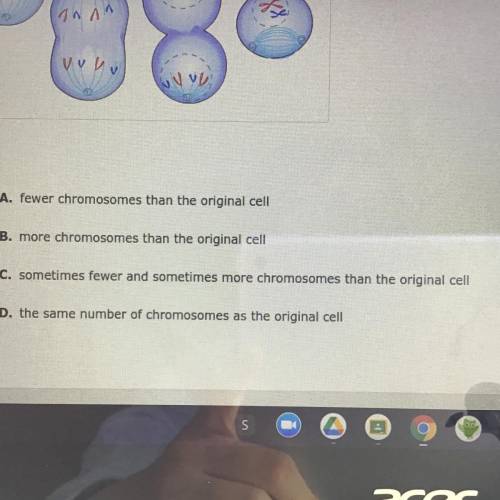 When a cell goes through mitosis and cell division, the two new cells have _?