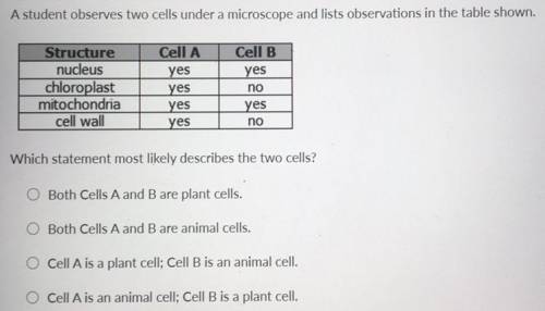 A student observes two cells under a microscope and lists observations in the table shown.

Struct