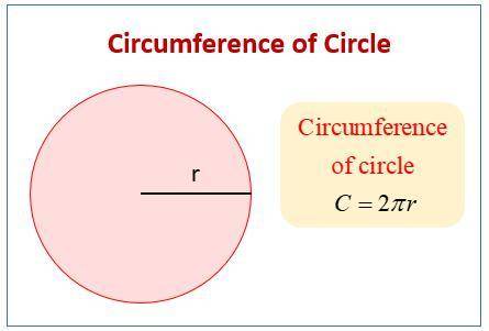 How do you find the circumference of a circle​