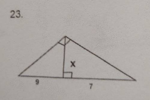 Find the value of x in the triangles below.