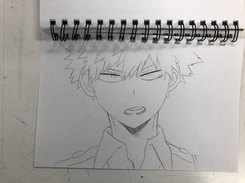 Does everyone want to know why we were created?(P.S. My Bakugo drawing!)