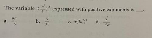 I have no clue what the answer is please help