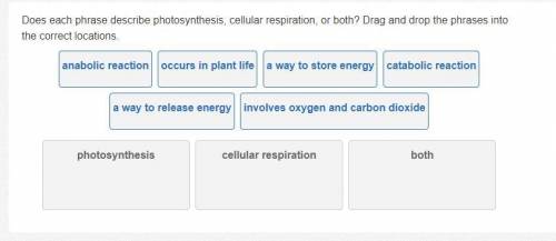 Does each phrase describe photosynthesis, cellular respiration, or both? Drag and drop the phrases
