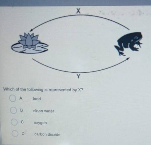 the picture below shows organisms a lily pad and frog that depend on each other by exchanging x and