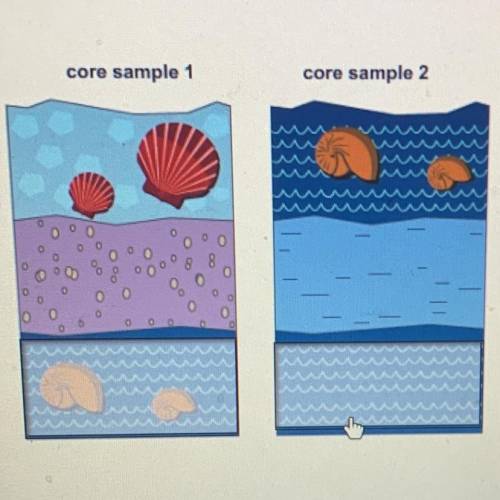 Select the correct layers.

Which two layers are approximately the same age?
core sample 1
core sa