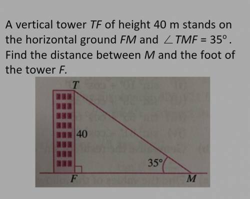 A verticaltowerT F of height 40mstandson thehorizontalground FM and ∠TMF = 35° . Findthedi