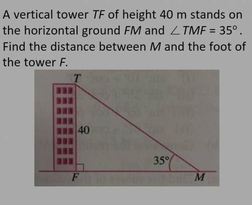 A verticaltowerT F of height40mstandson thehorizontalground FM and ∠TMF = 35° . Findthedi