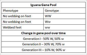 Webbed feet is a recessive trait in iguanas. The chart shows the prevalence of alleles for webbed f