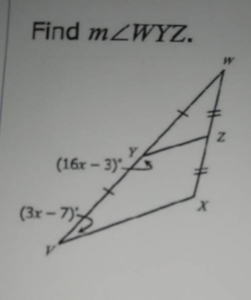 Pls help me!! Find mZWYZ. w Z (16x - 3) x (3x - 7)​
