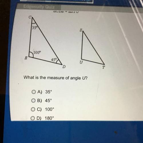 Please give the correct answer