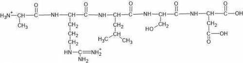 if a peptide is placed into a buffer with a pH = 7.52 which direction will it move positive or nega