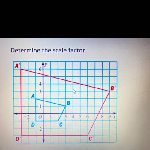 Determine the scale factor.