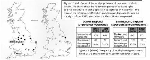 Compare the frequency of the moth phenotypes in Dorset and Birmingham in 1956? What caused the diff