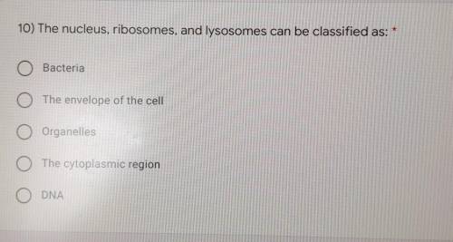 10) The nucleus, ribosomes, and lysosomes can be classified as:​