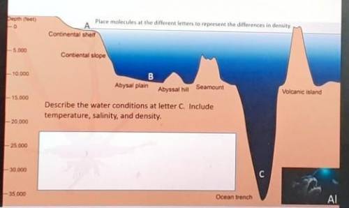 Describe the water conditions at letter C. Include temperature, salinity, and density. ​