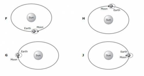 Which of these models shows the position of the sun moon and Earth that will have the LARGEST effec
