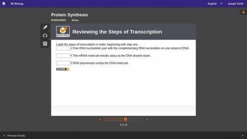 Label the steps of transcription in order, beginning with step one.