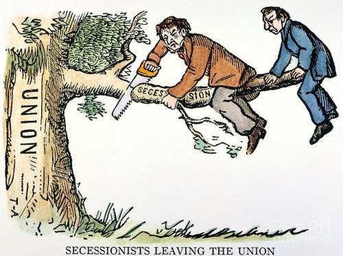 What is the message of this political cartoon?

 A. It is wise to secede from the Union
B. Pain wi