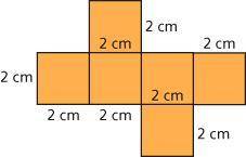 Find the surface area of the net.