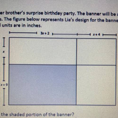 Lia is creating a banner for her brother's surprise birthday party. The banner will be a large rect
