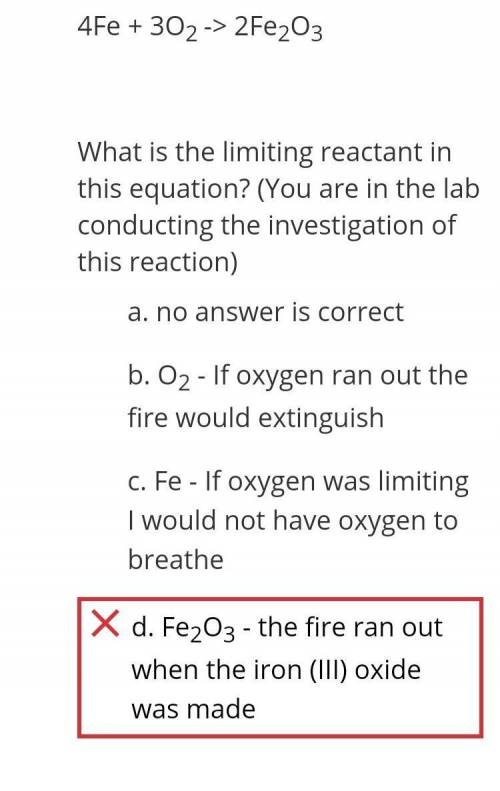 Plz help me correct this i don't understand this at all​