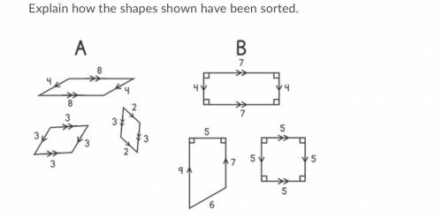 Explain how the shapes shown have been sorted.