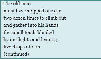 Choose the correct inference for each excerpt from the poem.

the small toads blinded / by our li