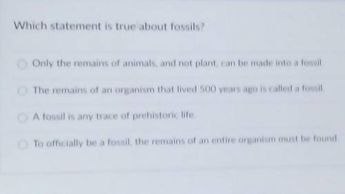 Which statement is true about fossils?​